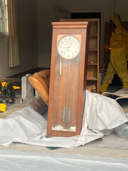 🧪 Some 17th to 18th century models used sealed tubes of mercury in the pendulum to improve timekeeping accuracy by compensating for temperature changes. Mercury's high density made it ideal for stabilizing the swing of the pendulum.