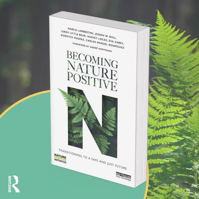 Book cover with ferns in the background.