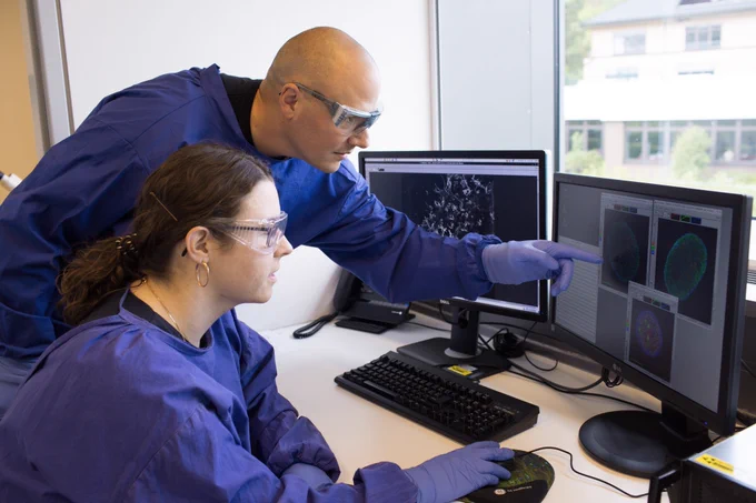 Virologist Prof. Schindler and a colleague evaluate data from an infection experiment.
© Universitätsklinikum Tübingen/Verena Müller
https://www.dzif.de/en/broad-spectrum-antiviral-compounds-discovered