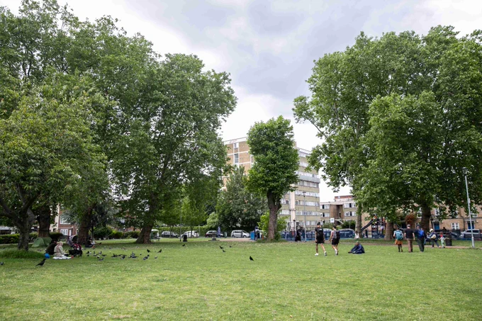 Trees and greenery in Vallance Gardens