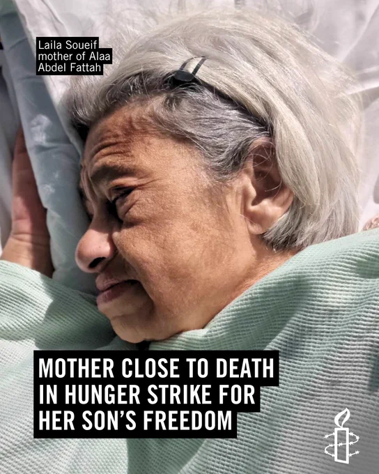 Mother close to death in hunger strike for her son’s freedom. 

Image of Laila Soueif mother of Alaa Abdel Fattah.