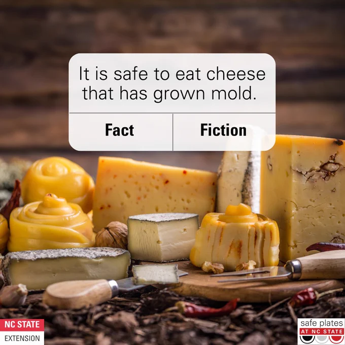 image content: 
1/4: It is safe to eat cheese that has grown mold.
2/4: It Depends. If you see mold on hard cheese cut off at least 1 inch around and below the moldy spot. The rest of the cheese is still good to enjoy. If you see mold growing throughout the cheese it’s safer to discard. For soft cheeses, it's safer to discard the entire piece if you find mold. Mold can spread easily through soft textures.
3/4: Storage Tips: Store cheese properly to minimize mold growth. 
Wrap hard cheeses in wax paper, parchment paper, or cheese paper, and then place them in a loose plastic bag.
Always use clean utensils and surfaces when cutting or serving cheese to prevent contamination.
Regularly inspect your cheese for any signs of mold and act quickly to manage it.
4: National Cheese Day June 4th 2025.