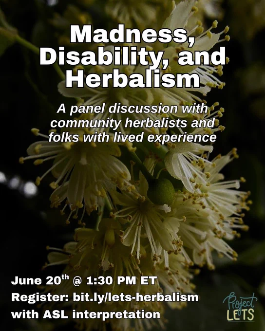 A graphic for a panel discussion over a close-up photograph of blooming linden flowers. The flowers are pale yellow with many long stamens, clustered against a dark green leafy background.

Centered at the top in large bold white text:
“Madness, Disability, and Herbalism”

Below in italicized white text:
“A panel discussion with community herbalists and folks with lived experience”

At the bottom, smaller white text reads:
“June 20ᵗʰ @ 1:30 PM ET
Register: bit.ly/lets-herbalism
with ASL interpretation”

In the lower right corner, the Project LETS logo is displayed in teal and cream.