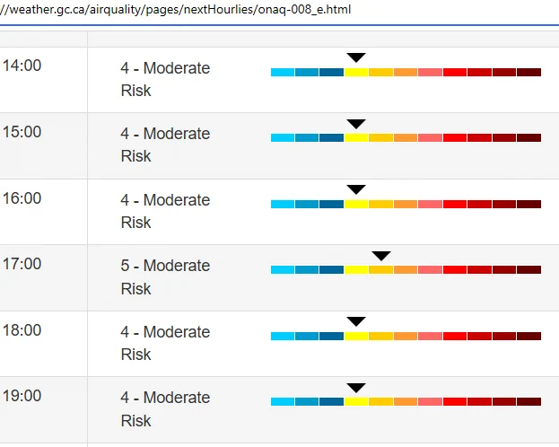 Table of predicted air quality level from 14:00 (2pm) until 19:00 (7pm) with all the hours predicted to be "4 - Moderate Risk" except 17:00 which is "5 - Moderate Risk."

The url is at the top of the screenshot:
https://weather.gc.ca/airquality/pages/nextHourlies/onaq-008_e.html