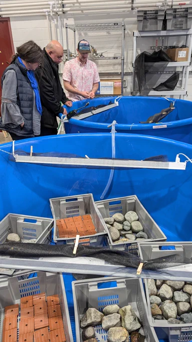People tour the North Island College Aqua Lab. 