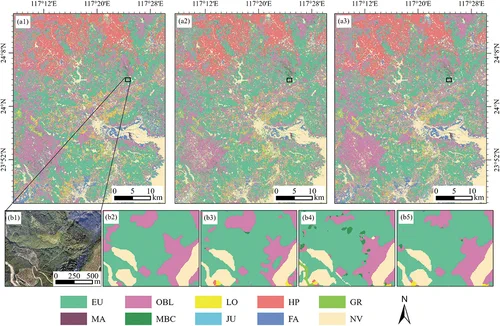 Figure 11. Spatial distributions of vegetation types in the study area classified by Conv1D (a1), GoogLeNet (a2), and CGNet (a3). A local map of classification results: High-resolution drone image (b1), Visual interpretation (b2), Conv1D (b3), GoogLeNet (b4), CGNet (b5).

EU, eucalyptus plantation; MA, mangrove; OBL, other broadleaf forest; MBC, mixed broadleaf-conifer forest; LO, loquat; JU, jujube; HP, honey pomelo; FA, farmland; GR, grassland; and NV, non-vegetation.