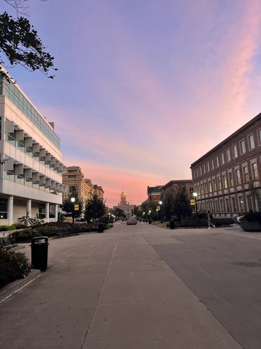 Photo looking down T. Anne Cleary Walkway as the sun sets behind the buildings.