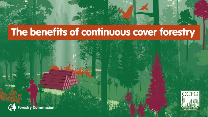 Illustration of a timber woodland and the words: The benefits of continuous cover forestry.