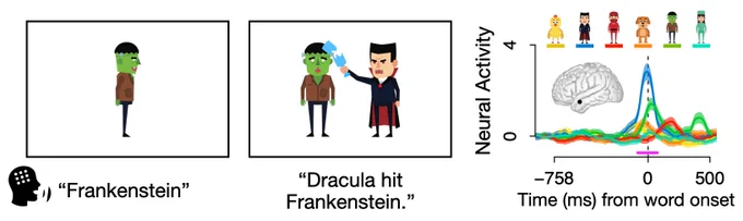 Task screenshots (picture naming: a cartoon picture of Frankenstein; scene description: cartoon image of Dracula hitting Frankenstein) and mean neural activity per word for one electrode in middle temporal gyrus.