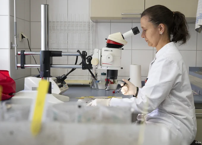 Researcher at work