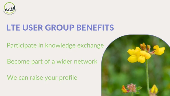 Text: LTE User Group Benefits- Participate in knowledge exchange; Become part of a wider network; We can raise your profile. Close up photo of the trefoil (yellow) flower.