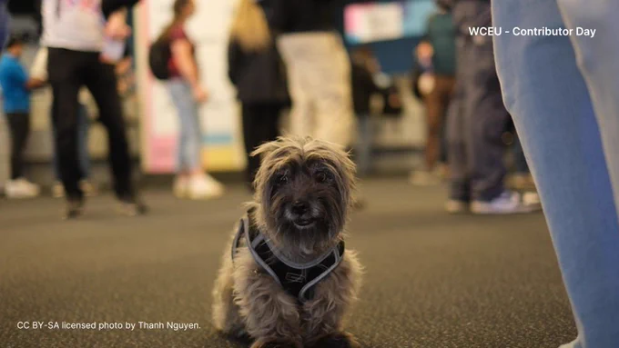 Photo of a dog during Contributor Day at WCEU.