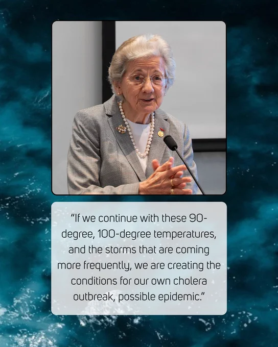 Ocean waves in background, inset image of woman with white hair in glasses and gray suit, text reads: If we continue with these 90-degree, 100-degree temperatures and the storms that are coming more frequently, we are creating the conditions for our own cholera outbreak, possible epidemic.