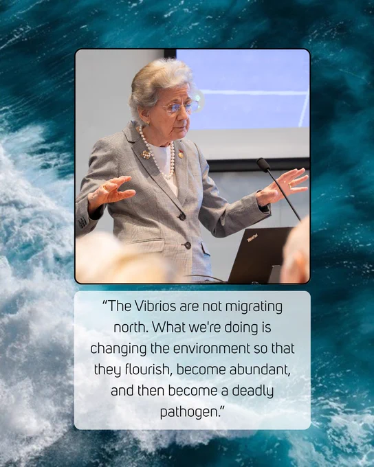 Ocean waves in background, inset image of woman with white hair in glasses and gray suit, text reads: The Vibrios are not migrating north. What we're doing is changing the environment so that they flourish, become abundant, and then become a deadly pathogen.