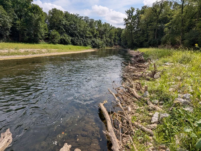 Restored streambank lined with woody debris and riprap following stabilization project to control erosion and enhance riparian habitat.