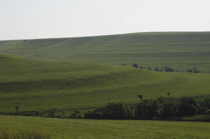 Konza prairie