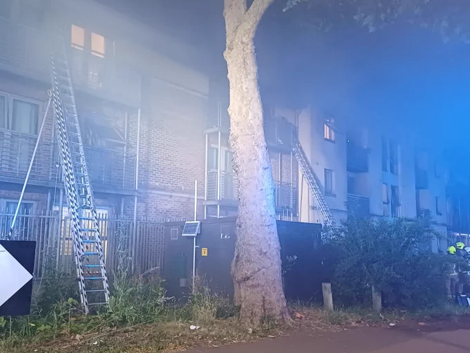 Ladders pitched against a building
