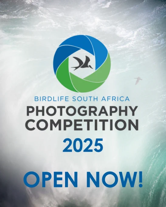 
📸: Andrew Jenkins, Threatened Species Winner 2023