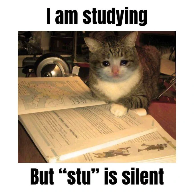 Me when i dont use SolutionInn for my studies. Exams got us all like...