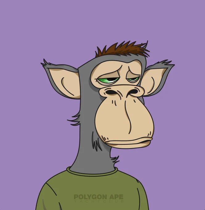 Polygon Ape: The Evolution