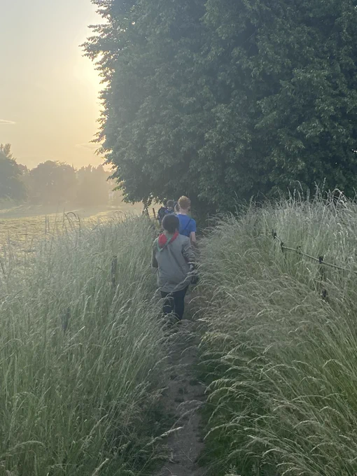 Several young people are pictured walking through a field of grass, some are in uniform, others in t shirts. The late evening sun is shining behind the tree.