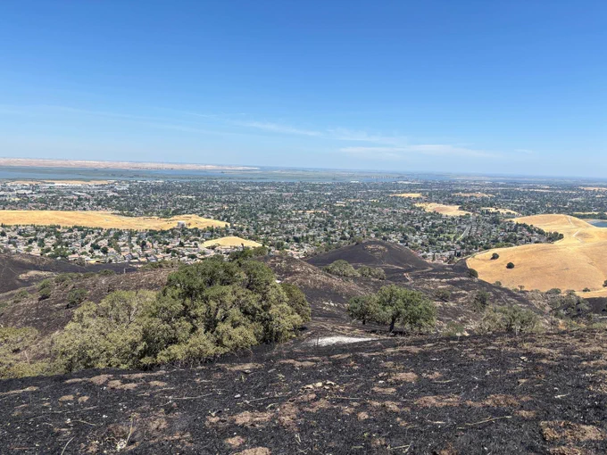 View of the site of the Somersville Fire.
