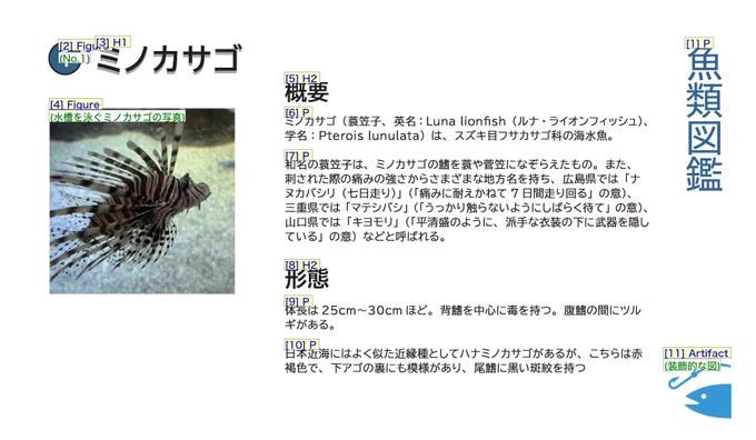 ミノカサゴの写真と説明を記した1枚もののPDFを画像化、読み上げ順、構造の種類(見出しなど)、代替テキストが画像上にマッピングされている。