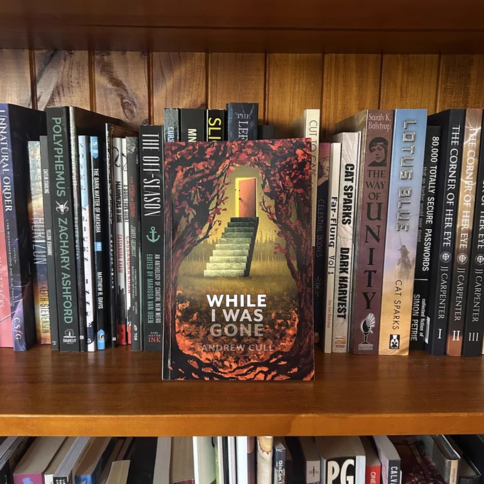 WHILE I WAS GONE by Andrew Cull book cover featuring stairs leading into a door in a forest