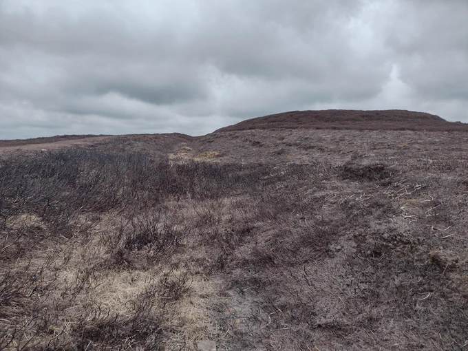 This photo depicts a vast, open landscape under a dramatic, overcast sky. There are no patches of blue, and the light is diffuse. The immediate foreground and midground are covered in low-lying vegetation, following a controlled burn.   In the distance, the land rises to form a gentle hill or ridge with a dip (holloway) noticeable beside the outline of a round barrow. 
