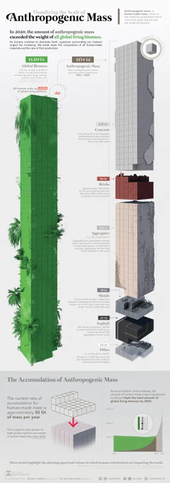 A stacked bar chart showing the growth of anthropogenic mass (human-made objects) compared to natural biomass from 1900 to 2040 (projected). The chart shows anthropogenic mass, broken down into categories like Concrete, Aggregates, Bricks, Asphalt, Metals, and Plastics, steadily increasing over time. Natural biomass, divided into Trees and Shrubs, Crops, Livestock, and Humans, is shown with relatively stable or slightly decreasing totals. The year 2020 is marked as the point where anthropogenic mass is projected to exceed natural biomass, with a note stating "Total anthropogenic mass exceeds all global living biomass." The chart is titled "ACCUMULATION OF ANTHROPOGENIC MASS".