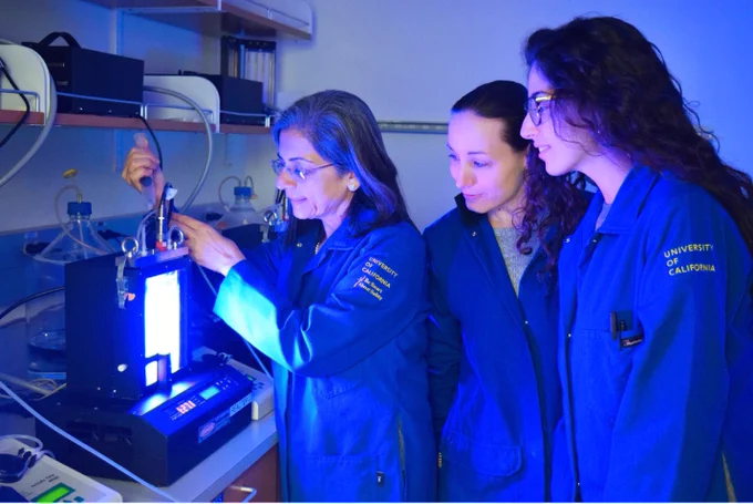 Three researchers in University of California lab coats in the Sabeeha Merchant lab. 