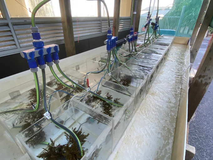 Experimental setup. 
