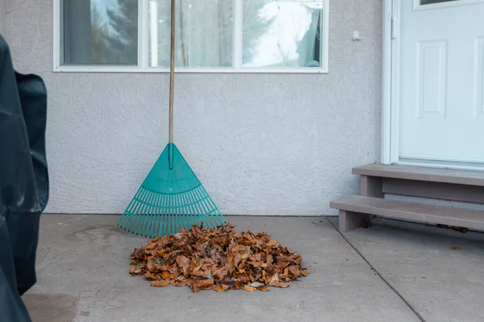 A pile of brown leaves collected with a teal rake in front of a house with a white door and a window.