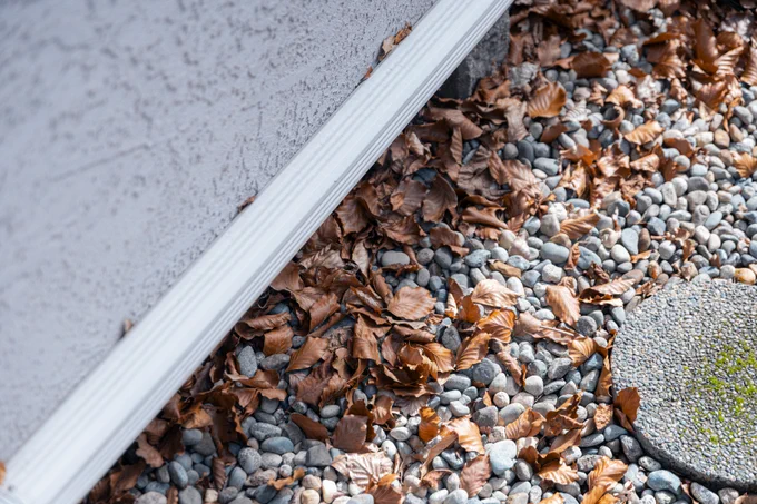 A close-up view of dry leaves scattered among small stones near a building's edge.