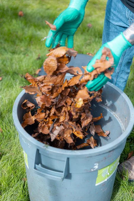 Person in gloves placing dried leaves into a compost bin.