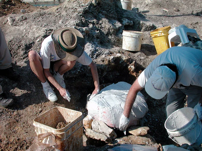 several people in hats are crouched over a large object in a dirt pit and covering it with white plaster under bright sunlight with dirt and tools and buckets all around them