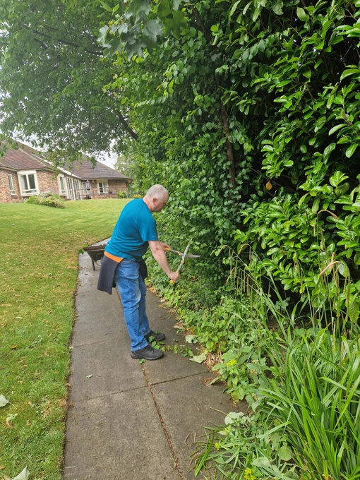 A man trims a hedge with a knife, focusing on shaping the greenery in a well-maintained garden.
