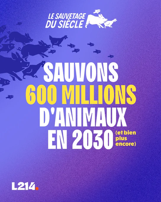 Visuel de lancement pour la nouvelle campagne de L214. 

Texte : 
Le sauvetage du siècle

Sauvons 600 millions d'animaux en 2030 (et bien plus encore)