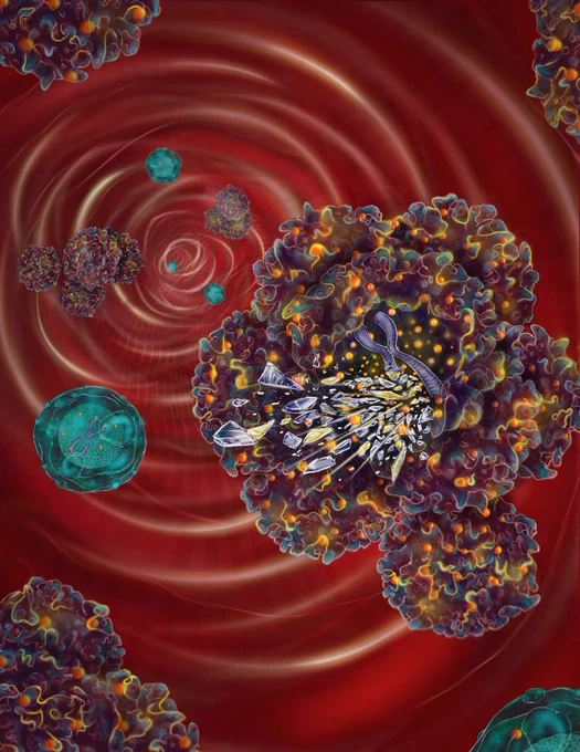 Scientific illustration @ArbachHratch