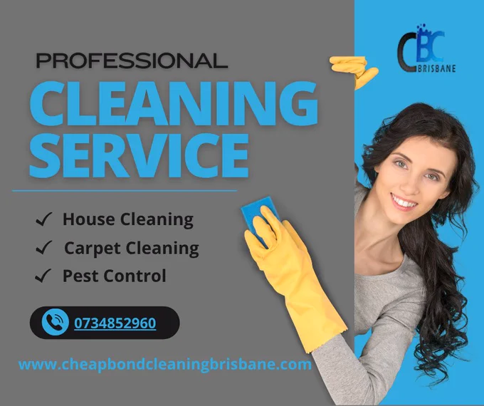 professional cleaning service