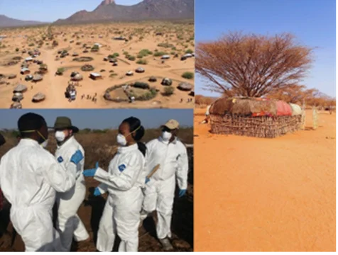 Researchers doing infectious disease surveillance in rural Kenyan communities that work closely with animals, including cattle, sheep, goats, and camels. It is common for infectious diseases to spill over from animals to humans and then spread via human-to-human transmission around the globe -- this happens with flu all the time. Image courtesy of WSU Global Health Kenya.