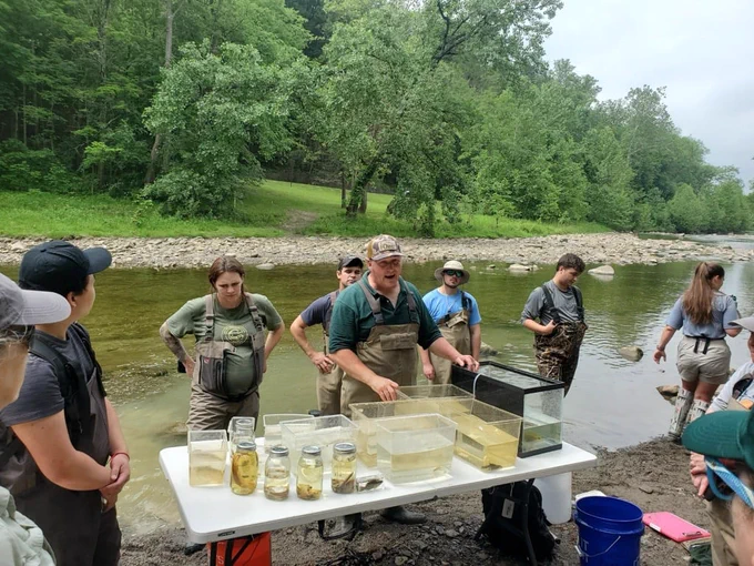 Field team members perform a seining demonstration in Hemlock Creek, showcasing community science techniques for collecting and studying native fish species.