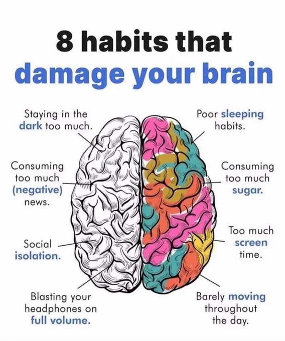Your Brain Needs Fuel. Health is wealth . Here is what hurts your brain. 