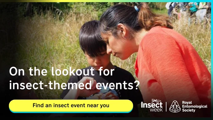 Looking for insect-themed events? Find an event near you on the Insect Week website
