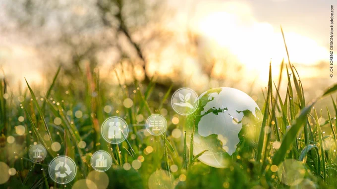 Glass globe on grass.