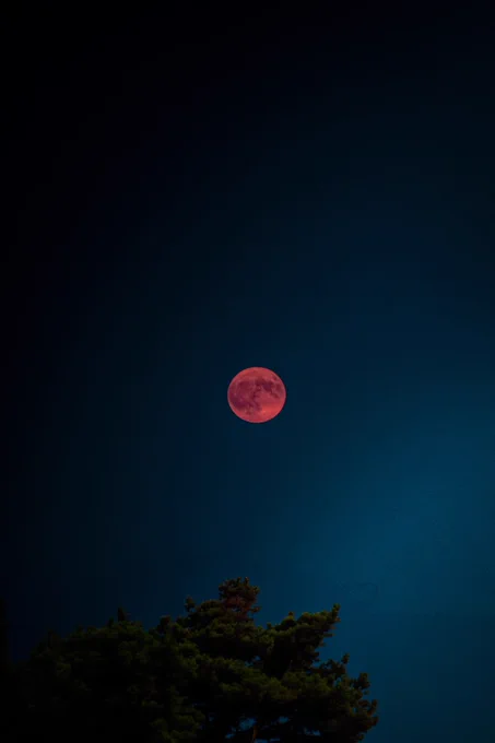Strawberry Moon - photo from Unsplash - thanks to Maeva Vigier