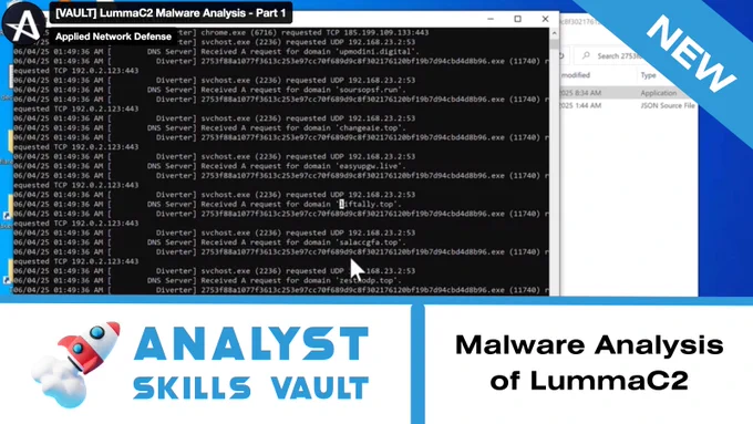 Using Fakenet to capture the LummaC2 network communication and interact with it's behavior.