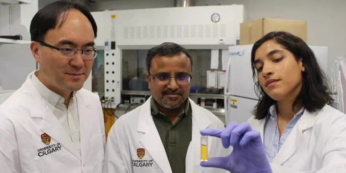 Seonghwan Kim, Arindam Phani and PhD student Pegah Zandi.