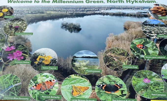 A cropped overall picture of the board featuring some of the Millennium Green wildlife