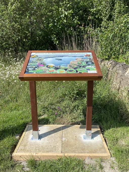 A brown framed interpretation board featuring pictures of some of the flora and fauna that can be found on Millennium Green